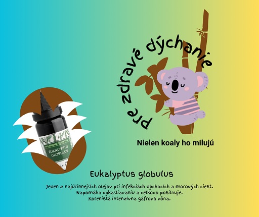 Eukalyptus olej na dýchanie_430.jpg